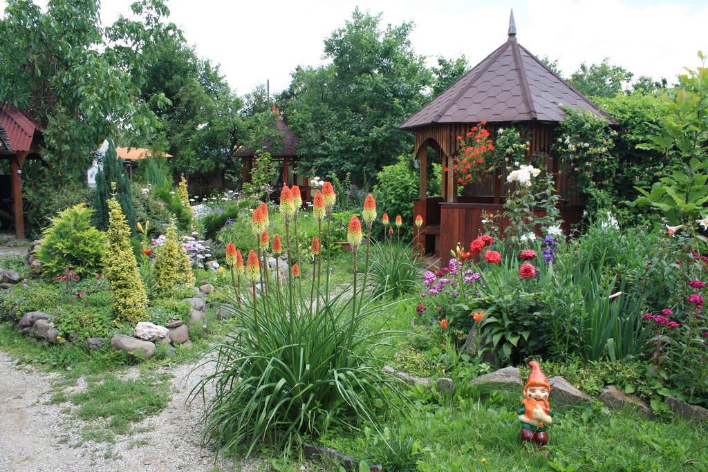 Bed and Breakfast Fkoka Běrehovo Exteriér fotografie