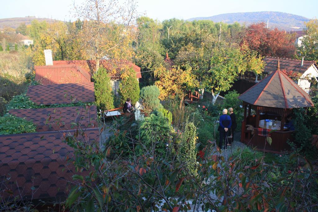 Bed and Breakfast Fkoka Běrehovo Exteriér fotografie